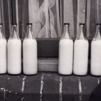 Whole Milk 1L