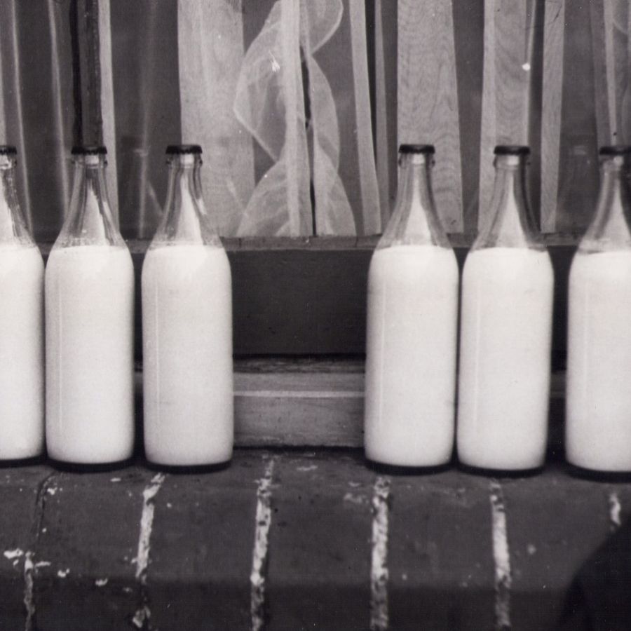 Whole Milk 1L
