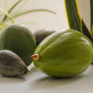 Hass Avocado