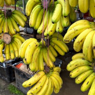 Organic Bananas